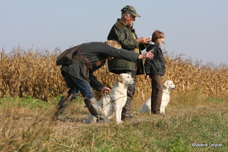 Field Erstein 09 (10).JPG